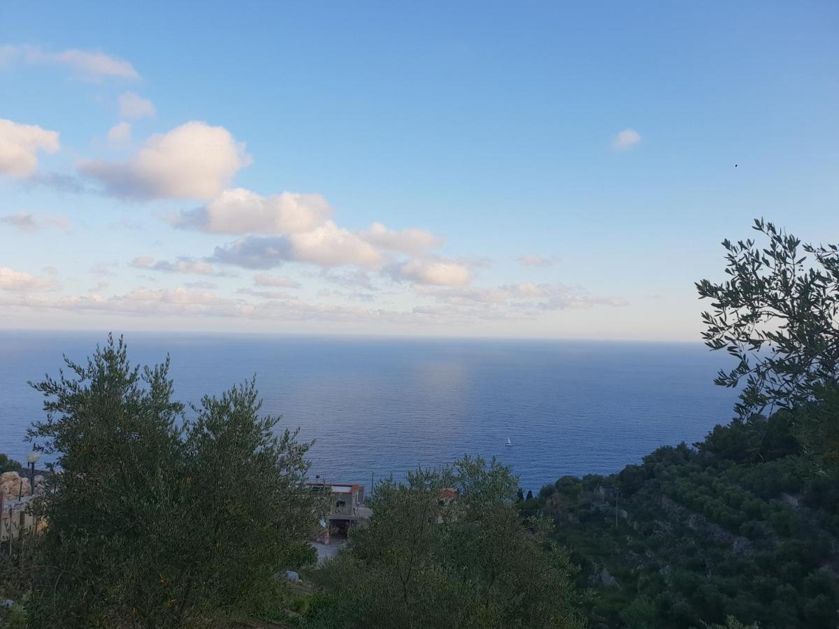 Casa Vacanze L'Agrifoglio Magliolo Exterior foto
