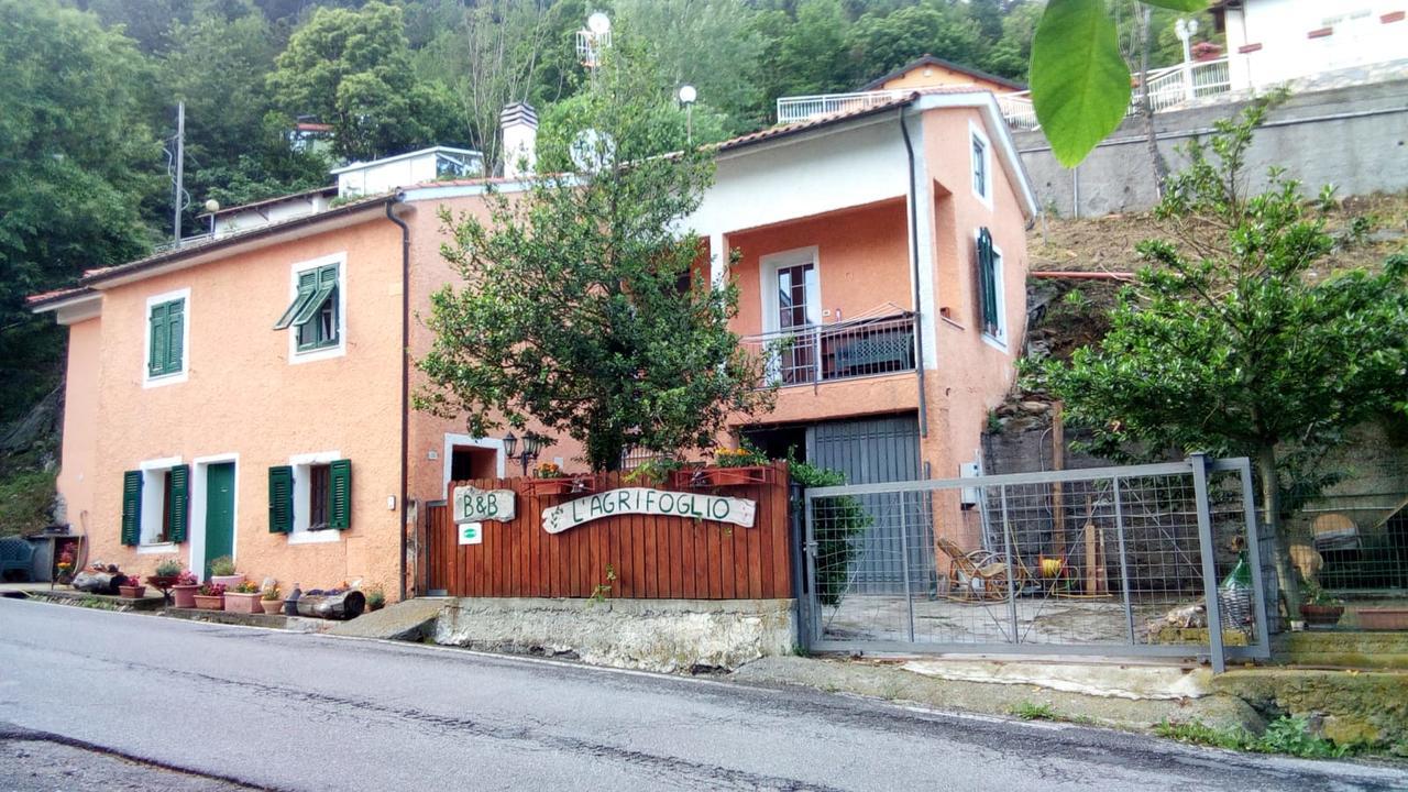 Casa Vacanze L'Agrifoglio Magliolo Exterior foto